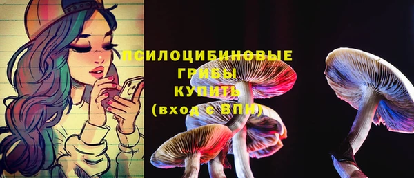 прущие крисы Алексеевка