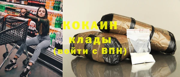 МДПВ Алзамай