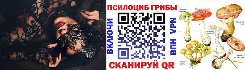 Галлюциногенные грибы Cubensis  купить закладку  Новокубанск 