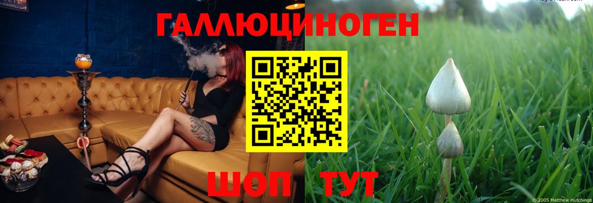 магазин  наркотиков  Галлюциногенные грибы ЛСД  Новокубанск  Вход с VPN  Псилоцибиновые грибы Cubensis 